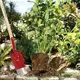 Лопата Fiskars СlassiС Garden FSС 1003689