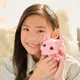 Интерактивная игрушка FurReal серии "My Miniʼs" - Маленький поросенок