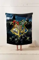 Плед 3D Замковый мир Гарри Поттера Магический плед с гербом 11618 160х200 см
