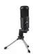 Конденсаторный микрофон Manchez USB-100 (USB) со штативом Black