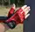 Рукавички для фітнесу Power System PS-2250E Pro Grip EVO Red XL