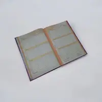 Щоденник шкільний Котик, 55г, 7БЦ, 165х240 мм, 40 арк., Матова ламінація, Вибірковий УФ-лак