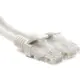 Патч-корд PowerPlant Cat5E UTP 7.5м, белый