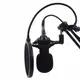 Студийный микрофон Music D.J. M800 со стойкой и ветрозащитой Black/Gold (5006)