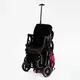 Коляска прогулочная детская "JOY" Fabiana (телескопическая ручка). Pink and black 118440