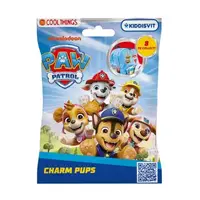 Фигурка-сюрприз COOL THINGS серии "Charms" - ЩЕНЯЩИЙ ПАТРУЛЬ (микс)