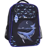 Рюкзак школьный Bagland Отличник 20 л черный 1097 0058070