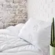 Подушка Aloe Vera ТМ IDEIA 50х70 см в пакеті