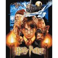 Картина по номерам с красками металлик "Harry Potter: Постер" 40х50 см