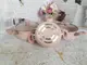 Набор посуды OMS 3027-Pink 6 предметов розовый