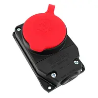 Розетка настенная Bemis 3P 25А с крышкой каучук