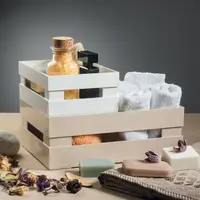 Набір скриньок для зберігання Guzzini Tidy & Store 16950079 2 предмета бежеві