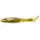 Tiny 1.5" (12pcs.), #074 - Green Pumpkin Seed