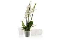 Горщик для орхідеї Gardenya 1,2 л прозорий
