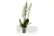 Горшок для орхидеи Gardenya 1,2 л прозрачный
