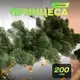 Хвойная литая гирлянда 2 м зеленая ветки елки