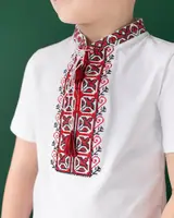 Вишита футболка для хлопчика з коротким рукавом Дем'янчик (червона вишивка)