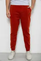 Спортивные штаны мужские на флисе, цвет терракотовый, 238R57256-1