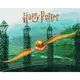Картина по номерам с красками металлик "Harry Potter: Золотой Снитч" 40х50см