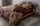 Постельное белье семейное ТЕП Soft dreams Chocolate Fusion 2-03860-26005 150х215х2 см