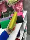 Малина – на магните – стильный яркий женский кошелек – 19х10 см – в фирменной коробке (1381)
