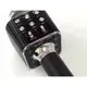 Колонка - микрофон с функцией Караоке Wster WS-1688 ∙ USB, microSD, AUX, Bluetooth, REC
