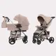 Коляска универсальная CARRELLO Vista 2in1 CRL-6501/1 Stone Beige