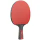 Набор для настольного тенниса Joola Duo Carbon 2 Bats 3 Balls (54822)