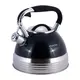 Чайник со свистком Kamille KM-0696BL 2.7 л черный