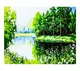 Картина по номерам Природа, 40 х 50 см, краски, кисти. Multicolor (6727)