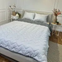 Одеяло евро двустороннее летнее из холофайбера Leri Max 21540 200х215 см графитовое