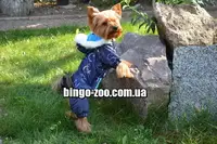 Комбинезон костюм для собаки Забава синий 47*56 такса