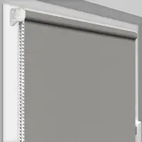 Рулонная штора Rolets Роял 1-816-300 30x170 см открытого типа Серая