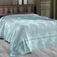 Махровая простынь Arya Misley AR-TR1001606-Green 200x220 см зеленая