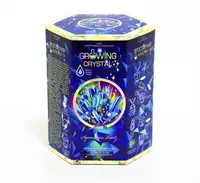 Набор для проведения опытов "Growing Crystal (выращивание кристаллов)" (укр)