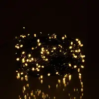 Гірлянда Нитка вулична 30 (м) 300 LED чорний провід Жовтий CF300L30MBY