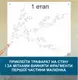 Трафарет для покраски, сакура, одноразовый из самоклеющей пленки 116 х 145 см