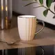 Чашка фарфоровая 400 (мл) с серебристым ободком и ручкой для чая, кофе Кремовая RX-N231315CO