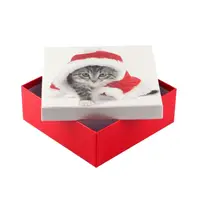 Коробка подарочная ООТВ Santa Cat 18 х 18 х 8 см