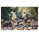 Трекинговая палка Naturehike CNK2550DS012, 61-125 см, синяя