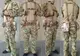 Разгрузочный пояс тактический (РПС) с комплектом подсумков (5 шт) Palianytsia Advanced Multicam Arid степной