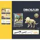 Раскопки CH 1301-4 (60) гипсовый брикет, набор инструментов в коробке.