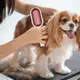 Щетка для животных Pet Gravity 4 в 1 для сухого и влажного вычесывания собак и кошек Серый (93779)