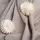 Ткань костюмная Миранда лате
