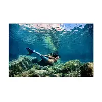 Наклейка з рибами і морською флорою для акваріума 40х65 см