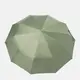 Автоматический зонт Monsen C1GD23002g-green