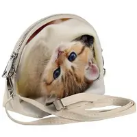 Сумка маленькая Coquette Котенок 18x14x7 см (COQ_15A099_SBR)