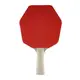 RakeTca-nlastwylnogogo oteni-yeciy stiga cybershape hobby fl (1216-0106-35)