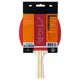 Ракетка для настольного тенниса Stiga Evolve FL (1211-8318-01)
