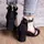 Женские босоножки Fashion Babers 2748 40 размер 25,5 см Черный